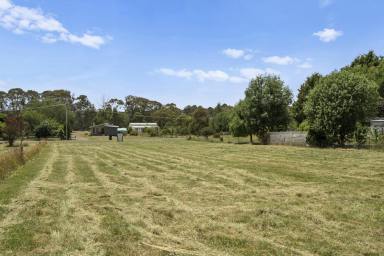Farm For Sale - VIC - Strathbogie - 3666 - Prime 1940m² House Block in Strathbogie: Your Gateway to Tranquil Living  (Image 2)