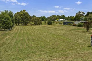 Farm For Sale - VIC - Strathbogie - 3666 - Prime 1940m² House Block in Strathbogie: Your Gateway to Tranquil Living  (Image 2)