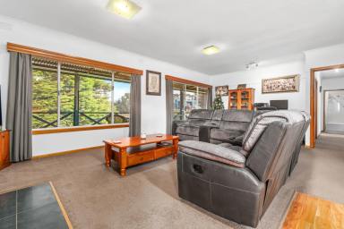 Farm Sold - VIC - Cooriemungle - 3268 - Superb Lifestyle with Shed's  (Image 2)