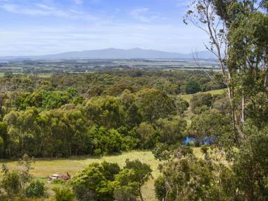 Farm For Sale - VIC - Foster - 3960 - "Wood Duck Farm"  (Image 2)