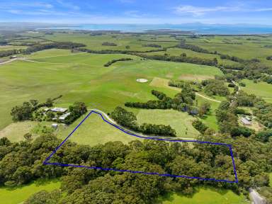 Farm For Sale - VIC - Foster - 3960 - "Home of the Black Cockatoo"  (Image 2)