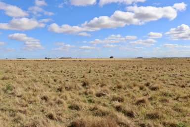 Farm For Sale - VIC - Shelford - 3329 - Established farm enterprise…  (Image 2)