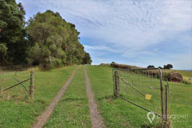Farm For Sale - VIC - Mardan - 3953 - AFFORDABLE GRAZING  (Image 2)