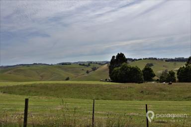 Farm For Sale - VIC - Mardan - 3953 - AFFORDABLE GRAZING  (Image 2)