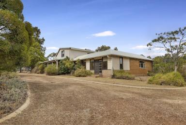 Farm Sold - WA - Karridale - 6288 - Convenient Country Life  (Image 2)
