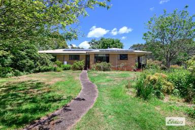 Farm Sold - TAS - West Pine - 7316 - CHARMING, PRIVATE, UNIQUE, WHAT AN OPPORTUNITY AWAITS YOU  (Image 2)