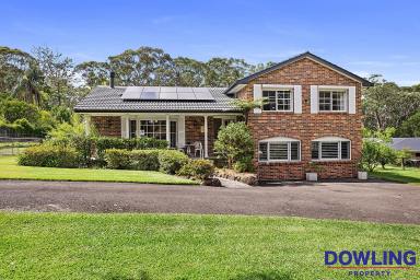 Farm Sold - NSW - Medowie - 2318 - A FAMILY LEGACY READY FOR A NEW CHAPTER  (Image 2)