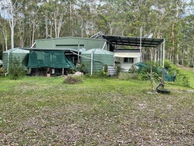 Farm For Sale - NSW - New Italy - 2472 - RURAL COASTAL PARADISE  (Image 2)