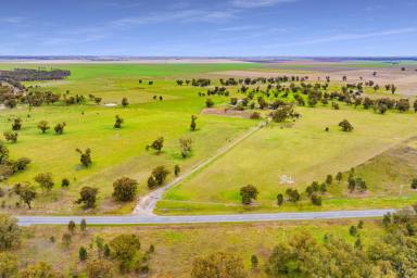 Farm For Sale - NSW - Narrandera - 2700 - Ideal Starter Block Close to Town  (Image 2)