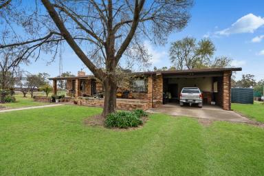 Farm For Sale - NSW - Narrandera - 2700 - Ideal Starter Block Close to Town  (Image 2)