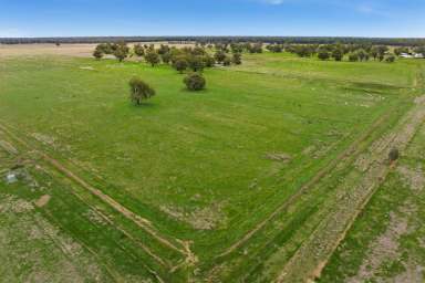 Farm For Sale - NSW - Narrandera - 2700 - Ideal Starter Block Close to Town  (Image 2)