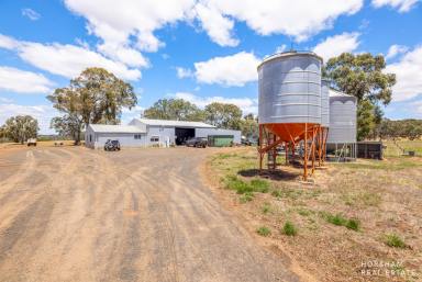 Farm For Sale - VIC - Balmoral - 3407 - Stunning Income Producing / Lifestyle Property  (Image 2)