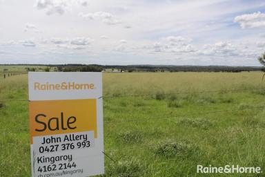 Farm For Sale - QLD - Kingaroy - 4610 - 362 Acres Rick Volcanic Soil  (Image 2)