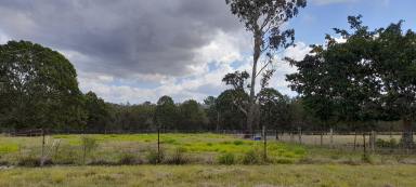 Farm Sold - QLD - Caboolture - 4510 - Beautiful 1.5 acres Prime location  (Image 2)