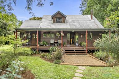 Farm Sold - QLD - North Maleny - 4552 - SOLD BY BRANT & BERNHARDT PROPERTY!  (Image 2)