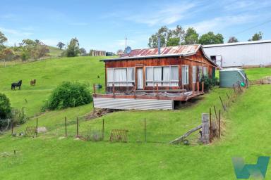Farm For Sale - VIC - Ensay - 3895 - ‘Alberts Oasis’  (Image 2)