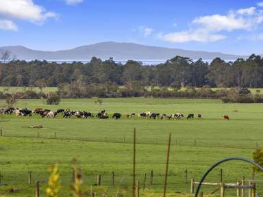 Farm For Sale - VIC - Foster - 3960 - Country homestead, captivating coastal views and lush fertile acreage  (Image 2)