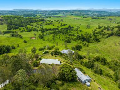Farm For Sale - NSW - Goonellabah - 2480 - Sweeping Views Await at Windsor Manor  (Image 2)