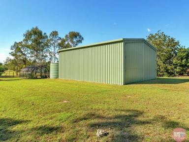 Farm Sold - QLD - Elimbah - 4516 - Hit the JACKPOT...2 ACRES...DISPLAY Home Presentation...HIGH Shed  (Image 2)