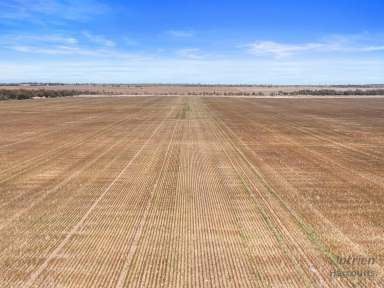 Farm Sold - SA - Arthurton - 5572 - "Bowden's" - FOR SALE  (Image 2)