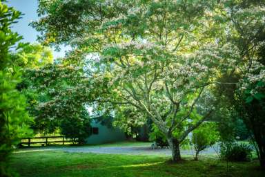 Farm Sold - NSW - Dorrigo - 2453 - Welcome to 'Avalon'. Your hideaway not far away.  (Image 2)