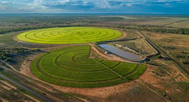 Farm For Sale - QLD - Cunnamulla - 4490 - Established Irrigation and Grazing Asset  (Image 2)