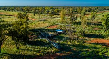 Farm For Sale - QLD - Dirranbandi - 4486 - Highly Regarded Mixed Livestock Property  (Image 2)