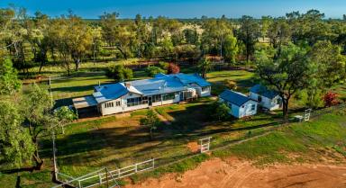 Farm For Sale - QLD - Dirranbandi - 4486 - Highly Regarded Mixed Livestock Property  (Image 2)