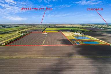 Farm For Sale - VIC - Dalmore - 3981 - LANDBANK OPPORTUNITY WITH SOLID LEASEBACK.  (Image 2)