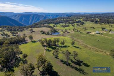 Farm For Sale - NSW - Hillgrove - 2350 - New England Eastern Fall Grazing  (Image 2)