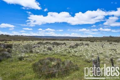 Farm For Sale - TAS - Miena - 7030 - Introducing a Prime Investment Opportunity  (Image 2)