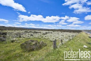 Farm For Sale - TAS - Miena - 7030 - Introducing a Prime Investment Opportunity  (Image 2)
