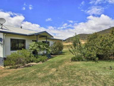 Farm For Sale - VIC - Omeo - 3898 - LIVINGSTONE CREEK FRONTAGE  (Image 2)