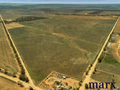 Farm For Sale - SA - Steinfeld - 5356 - BUILD YOUR DREAM LIFESTYLE HERE  (Image 2)