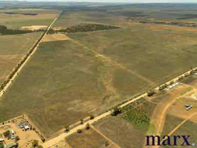 Farm For Sale - SA - Steinfeld - 5356 - BUILD YOUR DREAM LIFESTYLE HERE  (Image 2)