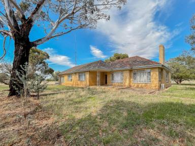 Farm For Sale - VIC - Durham Ox - 3576 - The opportunities are endless  (Image 2)