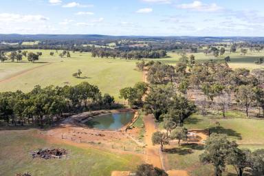Farm For Sale - WA - Wooroloo - 6558 - Luxury living under 1 hour from the city  (Image 2)