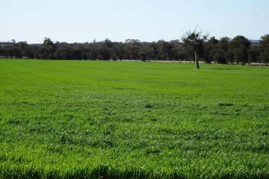 Farm For Sale - WA - Highbury - 6313 - Conveniently Located Add On Block  (Image 2)