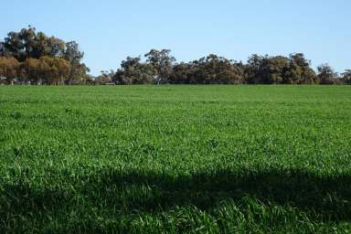 Farm For Sale - WA - Highbury - 6313 - Conveniently Located Add On Block  (Image 2)