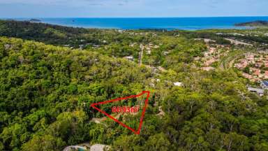 Farm Sold - QLD - Clifton Beach - 4879 - 6093m2 Clifton Beach Paradise  (Image 2)