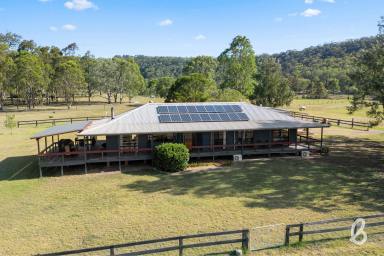 Farm Sold - NSW - Martins Creek - 2420 - BOUTIQUE RURAL ACREAGE  (Image 2)