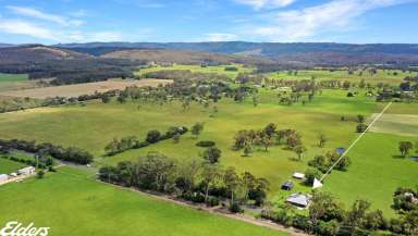 Farm Sold - VIC - Devon North - 3971 - CONTEMPORARY RURAL LIVING, MINIMAL MAINTENANCE, MAXIMUM SERENITY!  (Image 2)