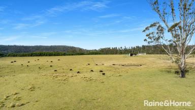 Farm For Sale - NSW - Budgong - 2577 - 'Ironbark Estate' - Via Cambewarra & Kangaroo Valley  (Image 2)