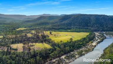 Farm For Sale - NSW - Budgong - 2577 - 'Ironbark Estate' - Via Cambewarra & Kangaroo Valley  (Image 2)