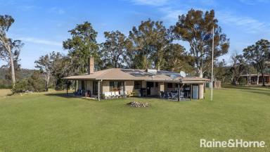 Farm For Sale - NSW - Budgong - 2577 - 'Ironbark Estate' - Via Cambewarra & Kangaroo Valley  (Image 2)