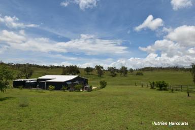 Farm For Sale - QLD - Wilson Valley - 4625 - *Picturesque Wilson Valley Gem*  (Image 2)