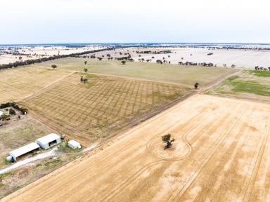 Farm Auction - SA - Pooginagoric - 5268 - Prime - Crop - Location - with Facilities  (Image 2)