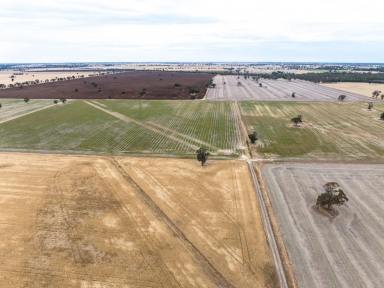 Farm Auction - SA - Pooginagoric - 5268 - Prime - Crop - Location - with Facilities  (Image 2)