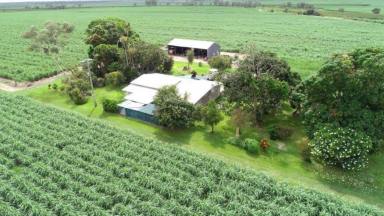 Farm For Sale - QLD - Inkerman - 4806 - "Above Average Irrigated Productive Cane Farm" A Must To inspect!!!  (Image 2)