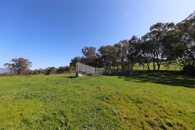 Farm Sold - NSW - Tumut - 2720 - "Lonsdale"  (Image 2)